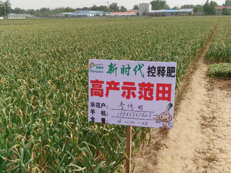 淄博博兴